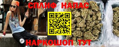 сатива Малгобек