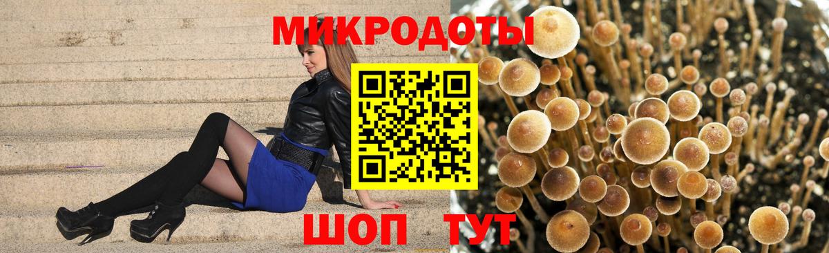 Псилоцибиновые грибы мицелий Янаул