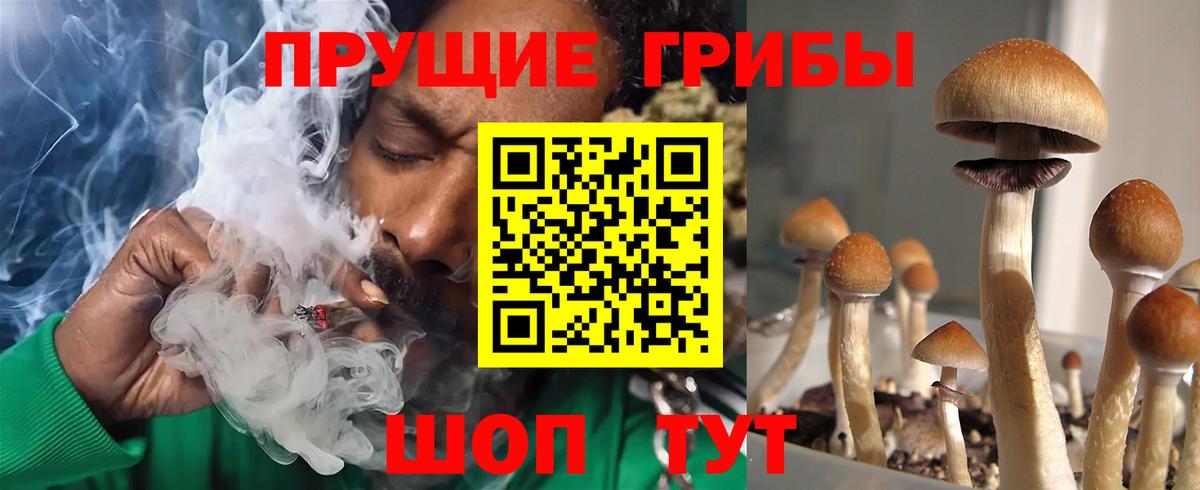 Янаул  Псилоцибиновые грибы прущие грибы  Вход с VPN  Псилоцибиновые грибы Cubensis 